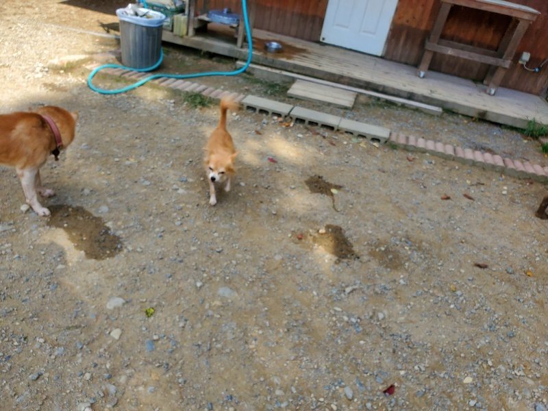 f:id:roukenhome-ann:20191003135116j:plain f:id:roukenhome-ann:20191003135116j:plain