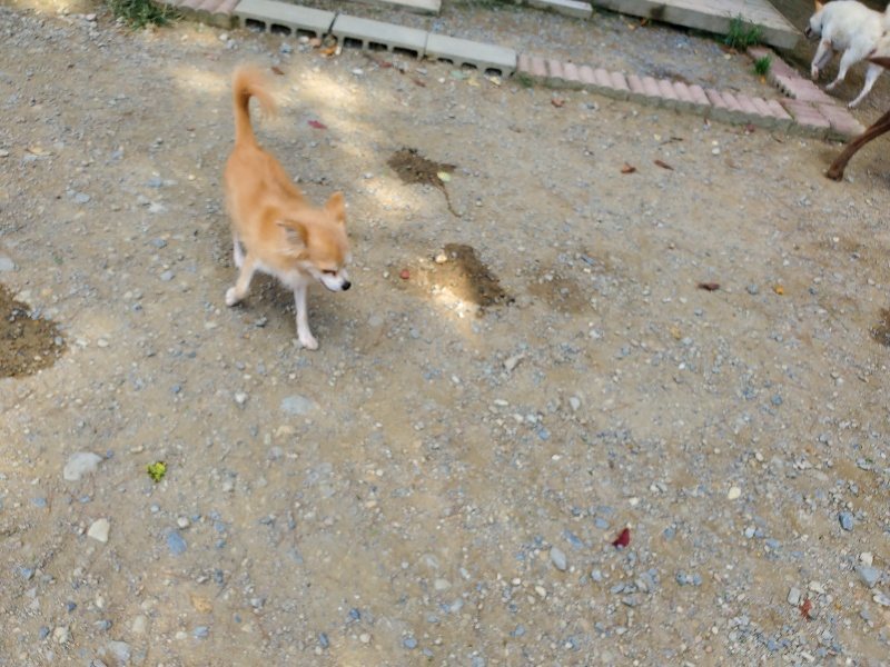 f:id:roukenhome-ann:20191003135121j:plain f:id:roukenhome-ann:20191003135121j:plain