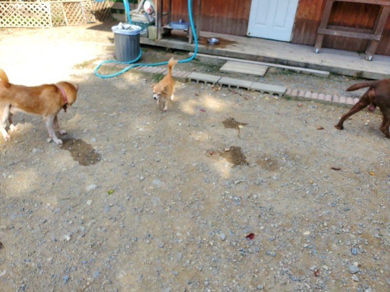 f:id:roukenhome-ann:20191003135125j:plain f:id:roukenhome-ann:20191003135125j:plain