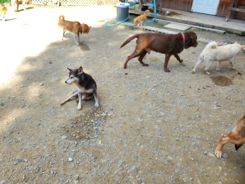 f:id:roukenhome-ann:20191003135136j:plain f:id:roukenhome-ann:20191003135136j:plain