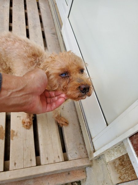 f:id:roukenhome-ann:20191003135151j:plain f:id:roukenhome-ann:20191003135151j:plain