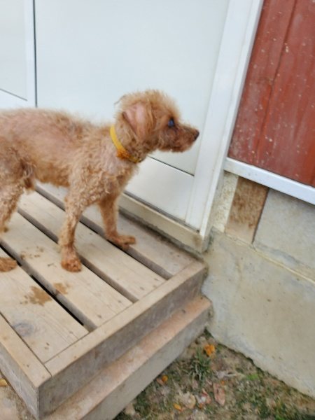 f:id:roukenhome-ann:20191003135201j:plain f:id:roukenhome-ann:20191003135201j:plain