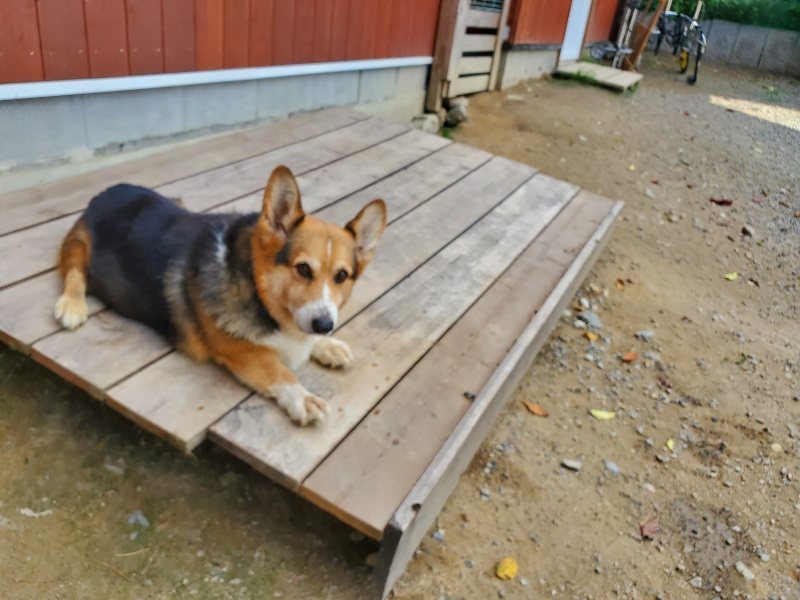 f:id:roukenhome-ann:20191003135214j:plain f:id:roukenhome-ann:20191003135214j:plain