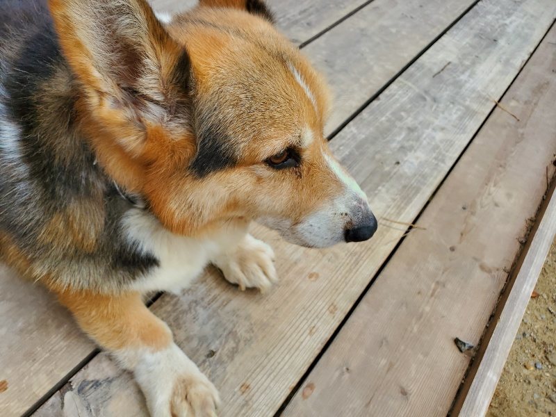 f:id:roukenhome-ann:20191003135219j:plain f:id:roukenhome-ann:20191003135219j:plain