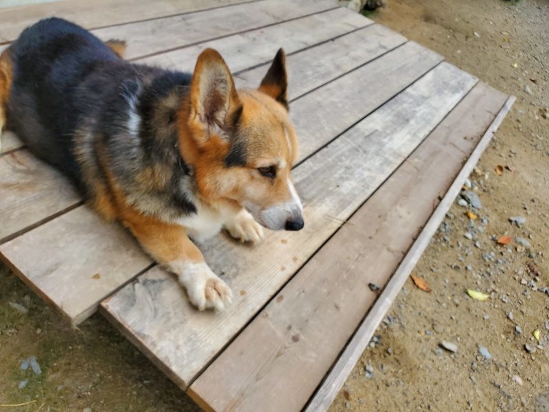 f:id:roukenhome-ann:20191003135223j:plain f:id:roukenhome-ann:20191003135223j:plain