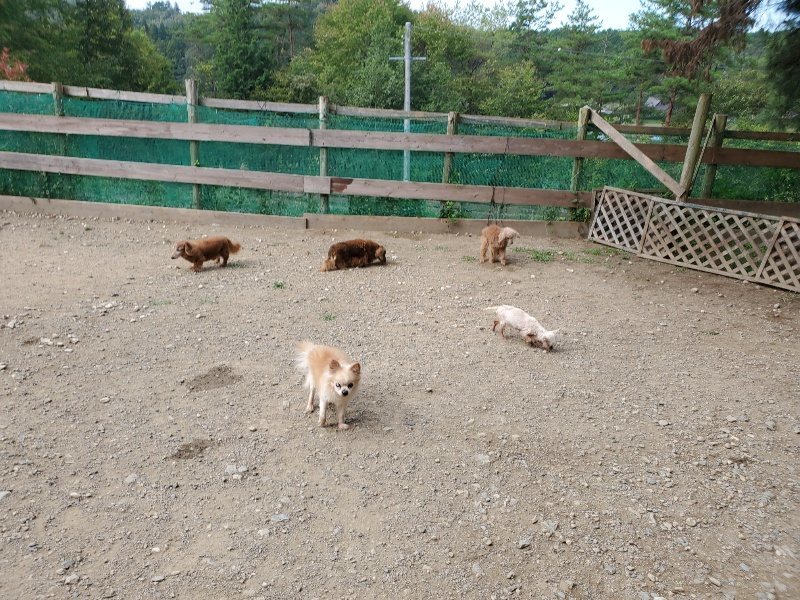 f:id:roukenhome-ann:20191003135347j:plain f:id:roukenhome-ann:20191003135347j:plain