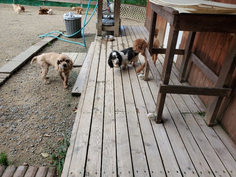 f:id:roukenhome-ann:20191003135352j:plain f:id:roukenhome-ann:20191003135352j:plain