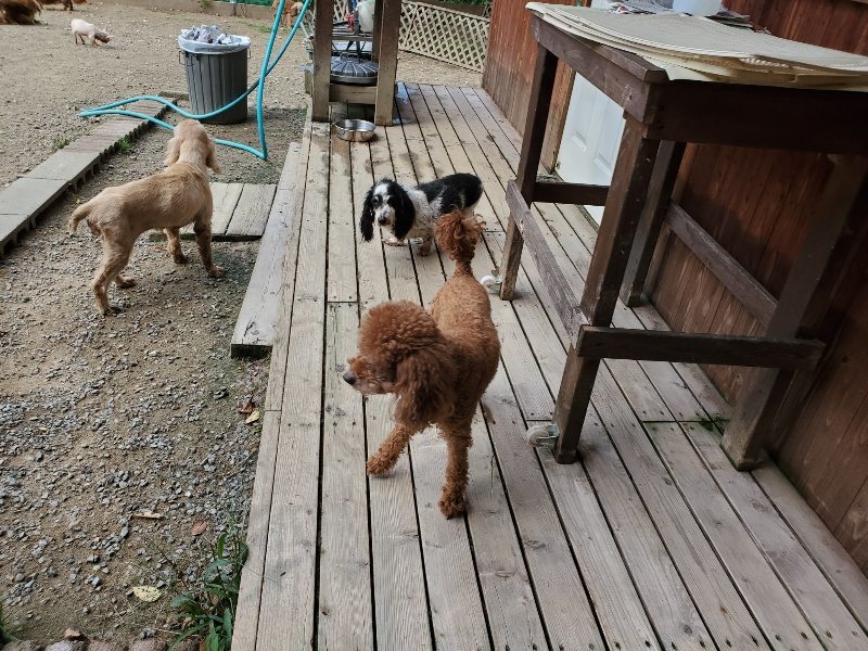 f:id:roukenhome-ann:20191003135404j:plain f:id:roukenhome-ann:20191003135404j:plain