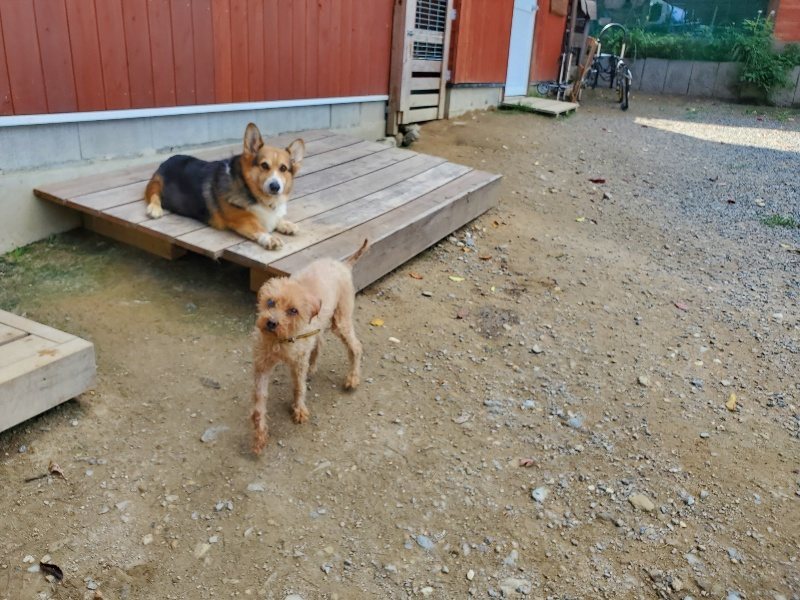 f:id:roukenhome-ann:20191003135414j:plain f:id:roukenhome-ann:20191003135414j:plain