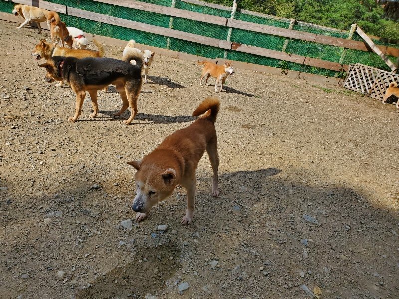 f:id:roukenhome-ann:20191003135424j:plain f:id:roukenhome-ann:20191003135424j:plain