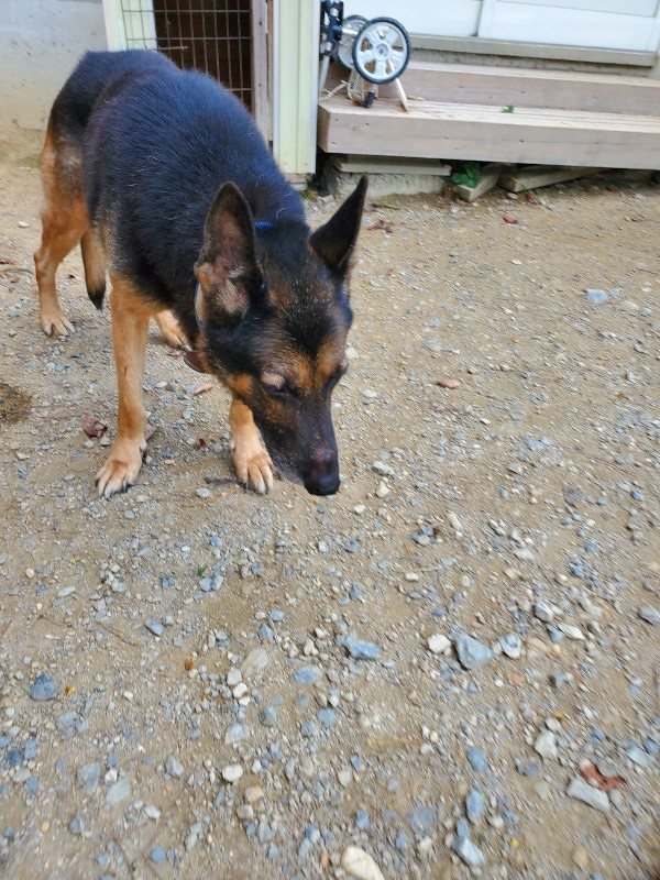 f:id:roukenhome-ann:20191003135429j:plain f:id:roukenhome-ann:20191003135429j:plain