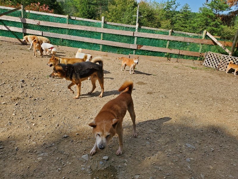 f:id:roukenhome-ann:20191003135441j:plain f:id:roukenhome-ann:20191003135441j:plain