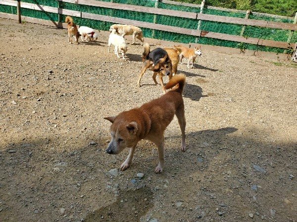 f:id:roukenhome-ann:20191003135454j:plain f:id:roukenhome-ann:20191003135454j:plain