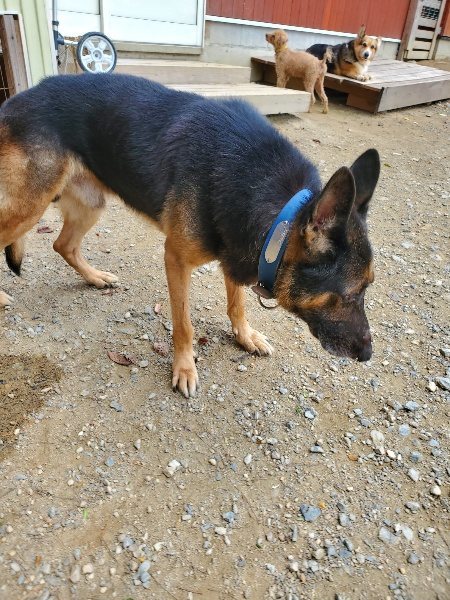 f:id:roukenhome-ann:20191003135504j:plain f:id:roukenhome-ann:20191003135504j:plain