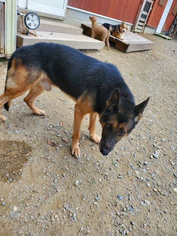 f:id:roukenhome-ann:20191003135510j:plain f:id:roukenhome-ann:20191003135510j:plain