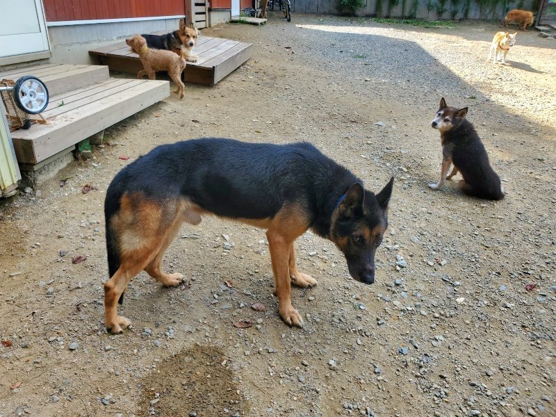 f:id:roukenhome-ann:20191003135516j:plain f:id:roukenhome-ann:20191003135516j:plain