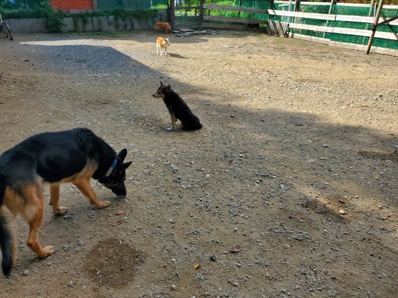 f:id:roukenhome-ann:20191003135521j:plain f:id:roukenhome-ann:20191003135521j:plain