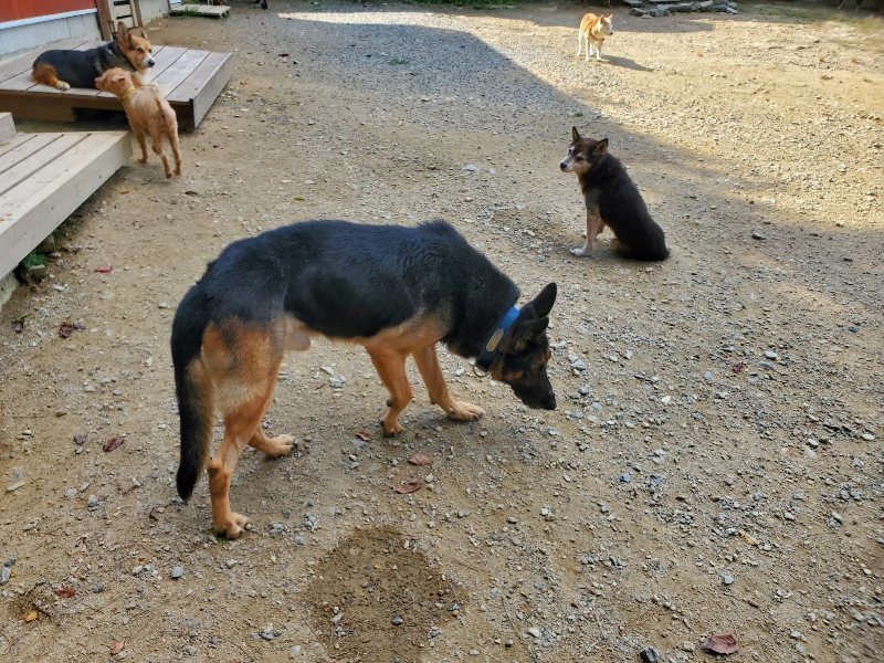 f:id:roukenhome-ann:20191003135528j:plain f:id:roukenhome-ann:20191003135528j:plain