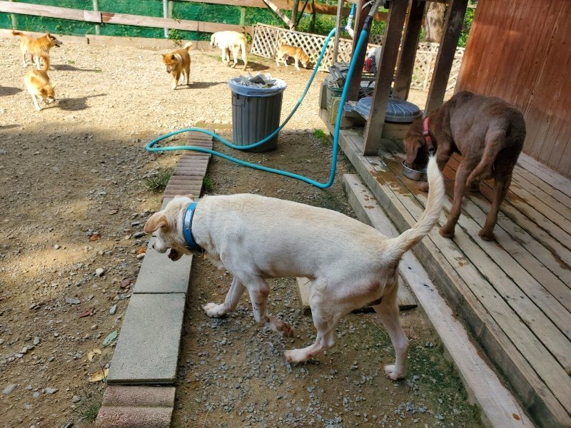 f:id:roukenhome-ann:20191003135532j:plain f:id:roukenhome-ann:20191003135532j:plain