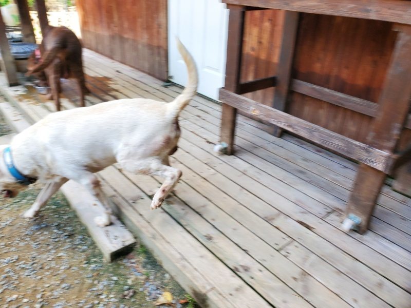 f:id:roukenhome-ann:20191003135537j:plain f:id:roukenhome-ann:20191003135537j:plain