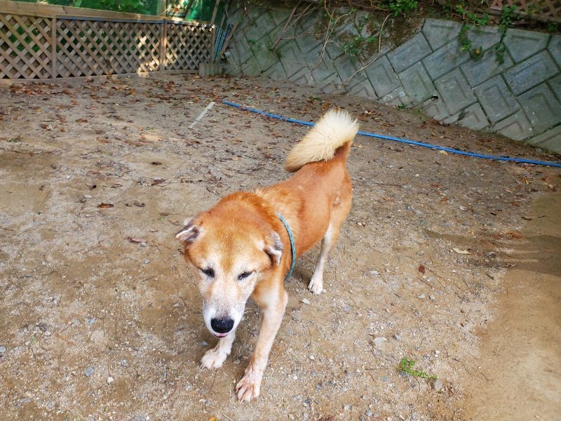 f:id:roukenhome-ann:20191003135549j:plain f:id:roukenhome-ann:20191003135549j:plain