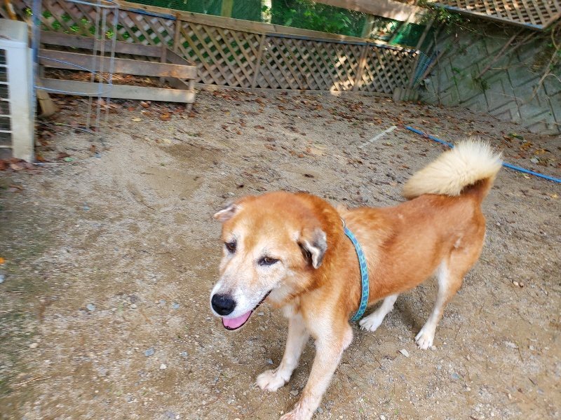 f:id:roukenhome-ann:20191003135604j:plain f:id:roukenhome-ann:20191003135604j:plain