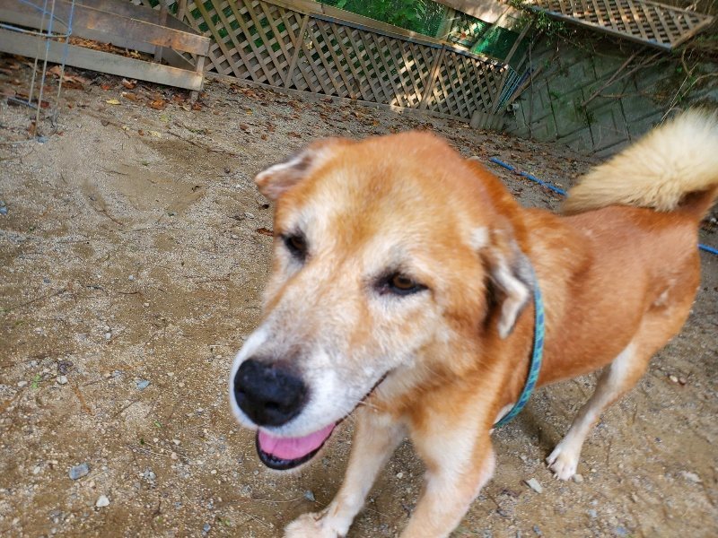 f:id:roukenhome-ann:20191003135617j:plain f:id:roukenhome-ann:20191003135617j:plain