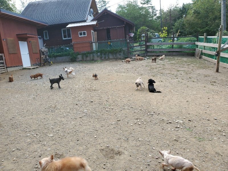 f:id:roukenhome-ann:20191003135635j:plain f:id:roukenhome-ann:20191003135635j:plain