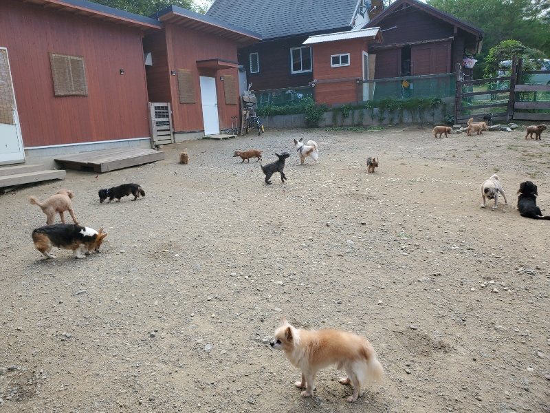 f:id:roukenhome-ann:20191003135640j:plain f:id:roukenhome-ann:20191003135640j:plain