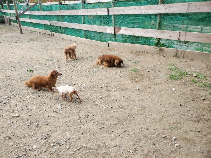 f:id:roukenhome-ann:20191003135652j:plain f:id:roukenhome-ann:20191003135652j:plain