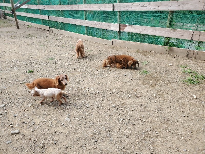 f:id:roukenhome-ann:20191003135657j:plain f:id:roukenhome-ann:20191003135657j:plain