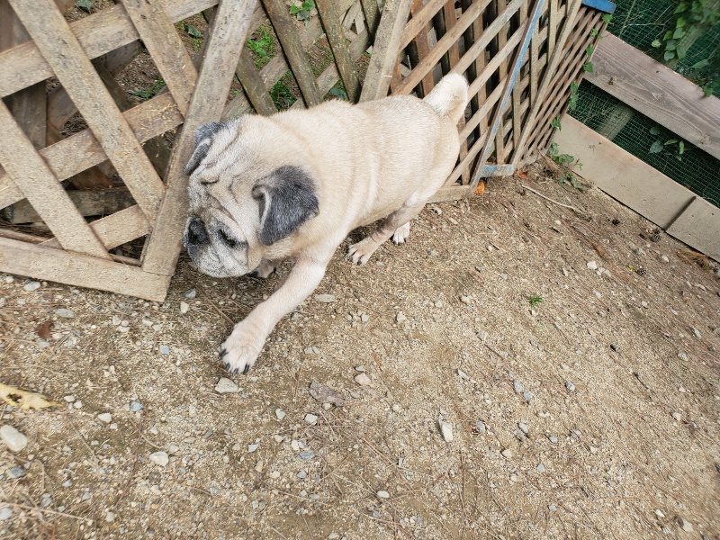 f:id:roukenhome-ann:20191003135703j:plain f:id:roukenhome-ann:20191003135703j:plain