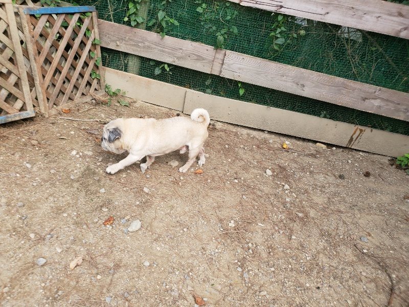 f:id:roukenhome-ann:20191003135730j:plain f:id:roukenhome-ann:20191003135730j:plain