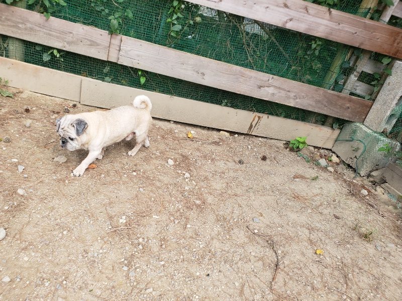 f:id:roukenhome-ann:20191003135735j:plain f:id:roukenhome-ann:20191003135735j:plain