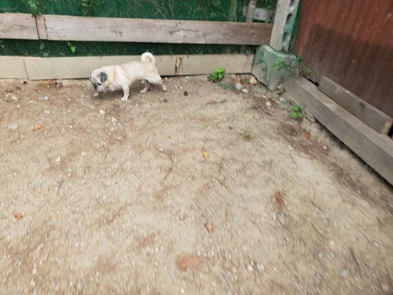 f:id:roukenhome-ann:20191003135739j:plain f:id:roukenhome-ann:20191003135739j:plain