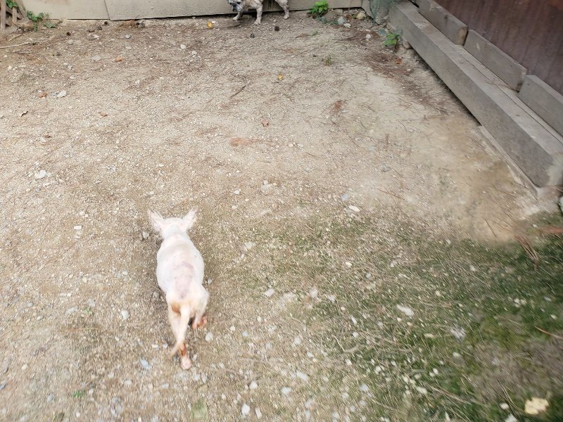 f:id:roukenhome-ann:20191003135745j:plain f:id:roukenhome-ann:20191003135745j:plain