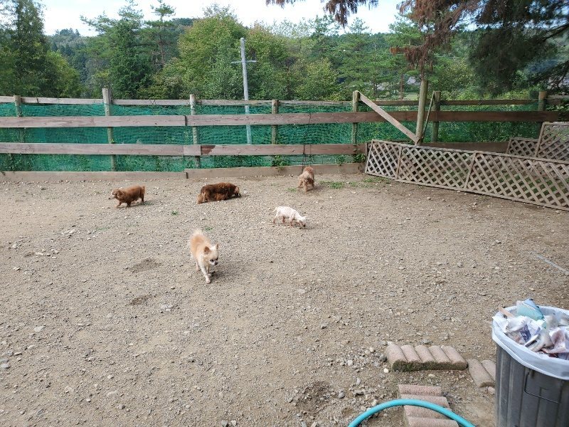 f:id:roukenhome-ann:20191003135751j:plain f:id:roukenhome-ann:20191003135751j:plain