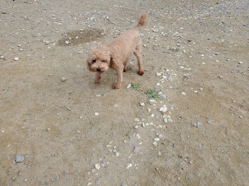 f:id:roukenhome-ann:20191003143541j:plain f:id:roukenhome-ann:20191003143541j:plain