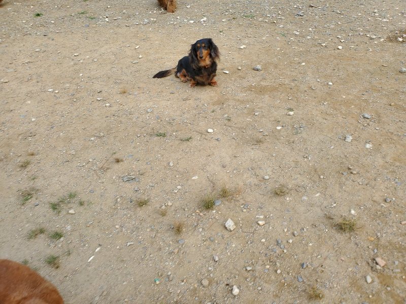 f:id:roukenhome-ann:20191003143545j:plain f:id:roukenhome-ann:20191003143545j:plain