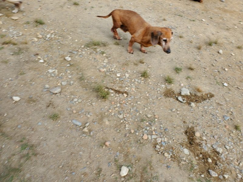 f:id:roukenhome-ann:20191003143551j:plain f:id:roukenhome-ann:20191003143551j:plain