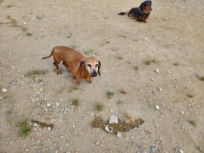 f:id:roukenhome-ann:20191003143556j:plain f:id:roukenhome-ann:20191003143556j:plain