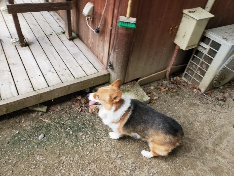 f:id:roukenhome-ann:20191003143602j:plain f:id:roukenhome-ann:20191003143602j:plain