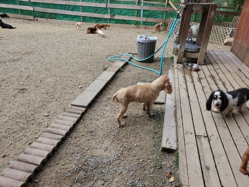 f:id:roukenhome-ann:20191003143608j:plain f:id:roukenhome-ann:20191003143608j:plain