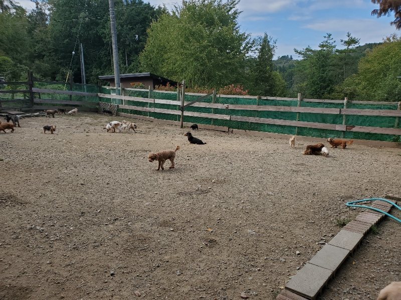 f:id:roukenhome-ann:20191003143613j:plain f:id:roukenhome-ann:20191003143613j:plain