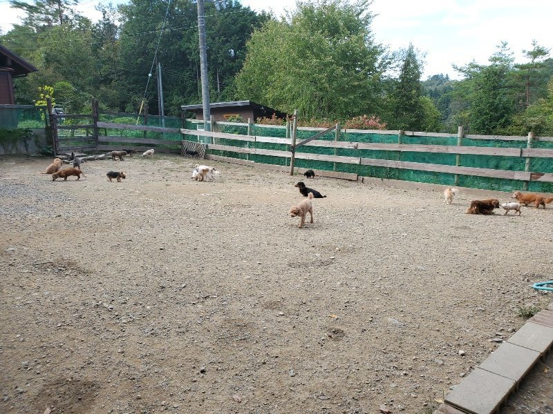 f:id:roukenhome-ann:20191003143619j:plain f:id:roukenhome-ann:20191003143619j:plain