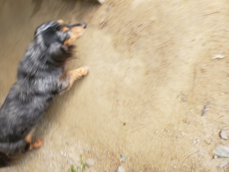 f:id:roukenhome-ann:20191003143623j:plain f:id:roukenhome-ann:20191003143623j:plain