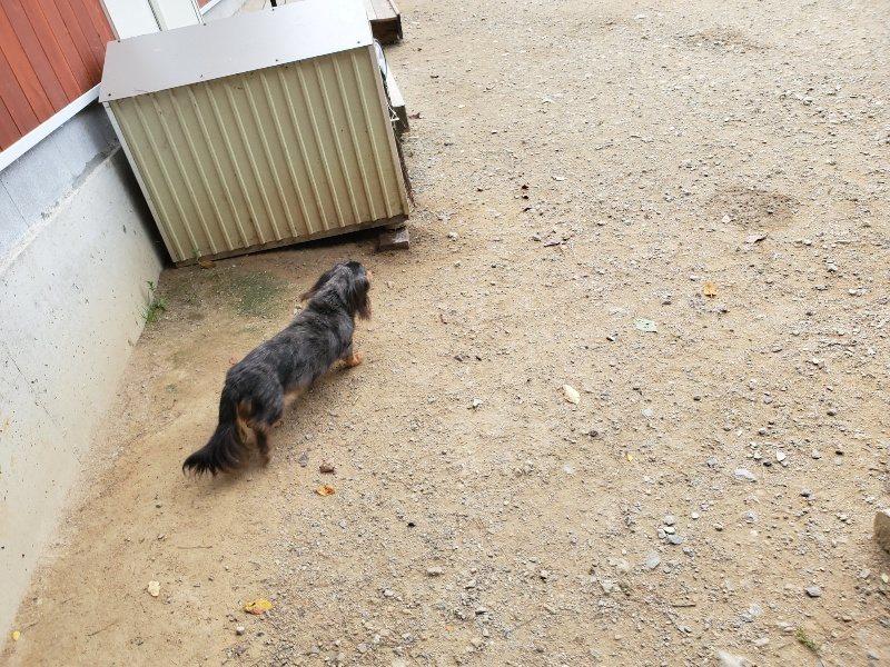 f:id:roukenhome-ann:20191003143629j:plain f:id:roukenhome-ann:20191003143629j:plain