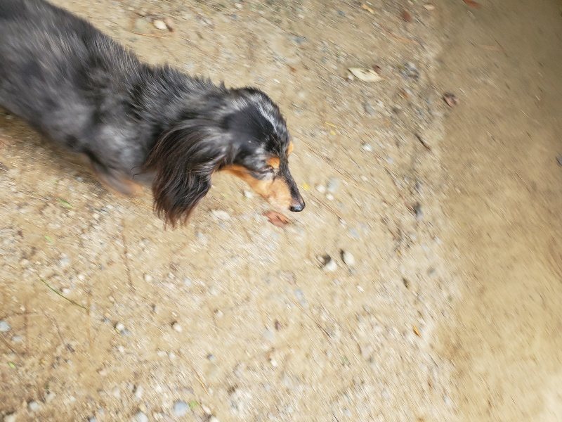 f:id:roukenhome-ann:20191003143634j:plain f:id:roukenhome-ann:20191003143634j:plain