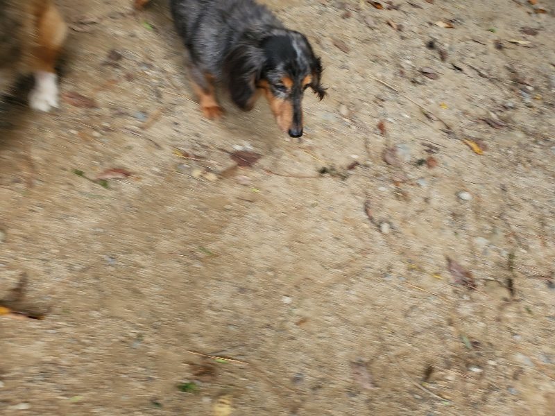 f:id:roukenhome-ann:20191003143640j:plain f:id:roukenhome-ann:20191003143640j:plain