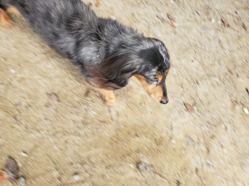 f:id:roukenhome-ann:20191003143645j:plain f:id:roukenhome-ann:20191003143645j:plain